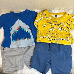 Bundle of 4 Tea Collection Cotton Shirts Shorts